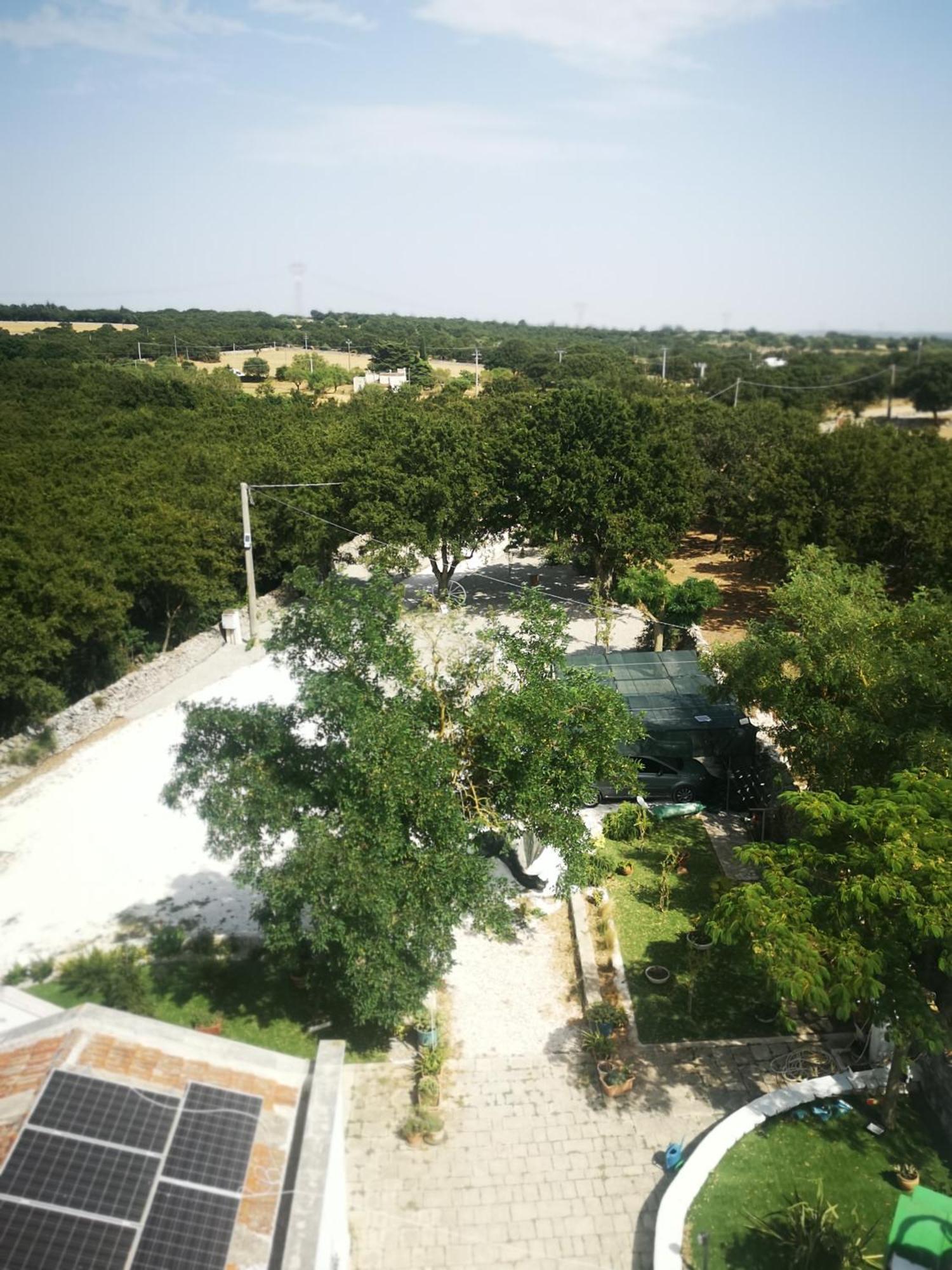 Trulli Allegretti Noci Exterior foto